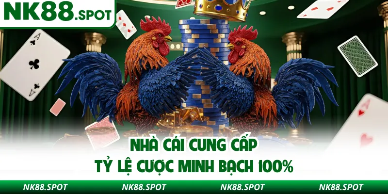 Nhà cái cung cấp tỷ lệ cược minh bạch 100%