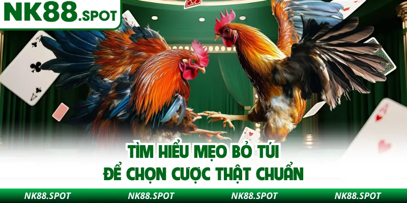 Tìm hiểu mẹo bỏ túi để chọn cược thật chuẩn